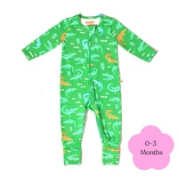 Bambi Mini Co. Wrigglesuit Boys Green Crocodile Rock 0-3